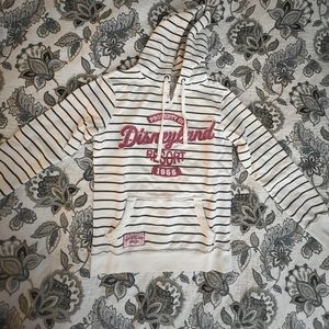 Property of Disneyland Resort hooded sweater